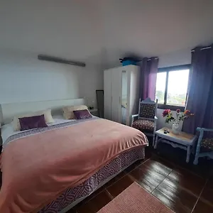 Mi Placer Apartment